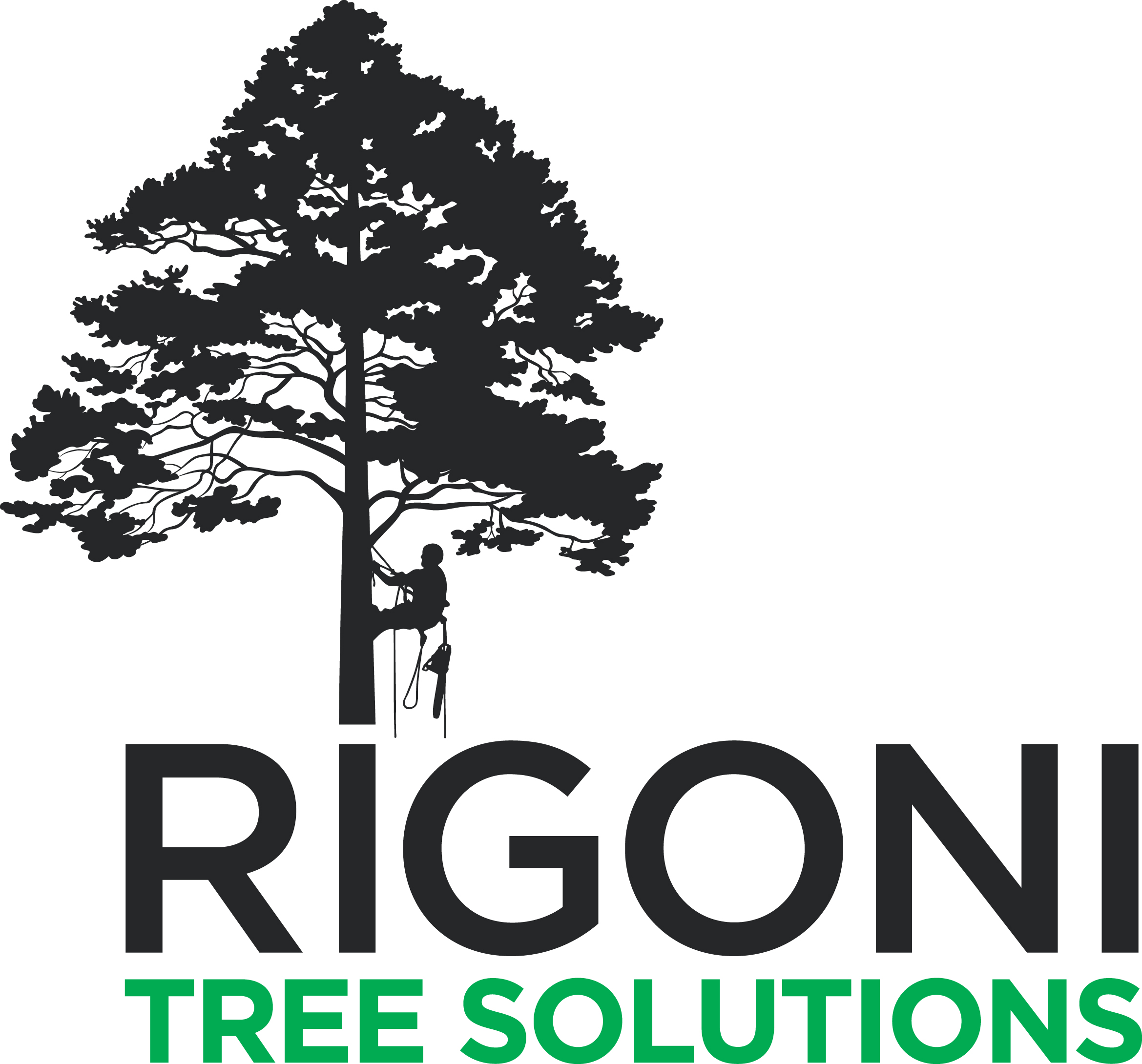 Partner Logo 3